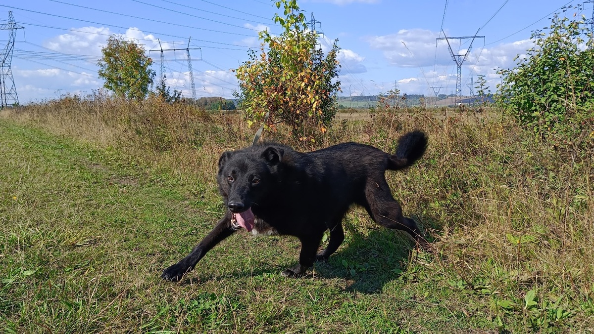 Сестра-хозяка лапкой подмахнула