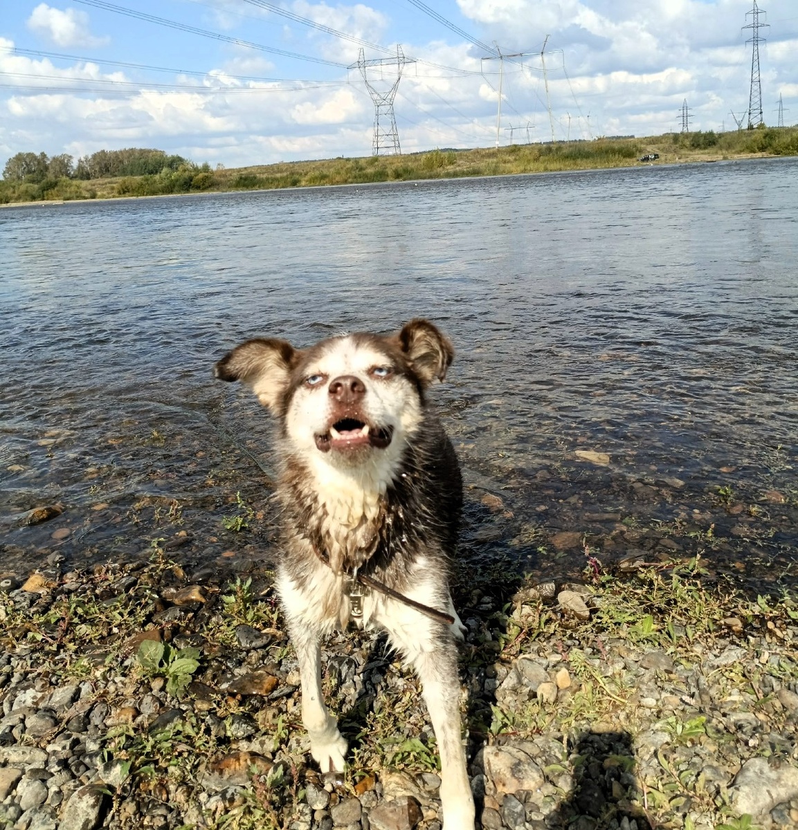Айза приглашает всех помедитировать в набежавшей волне