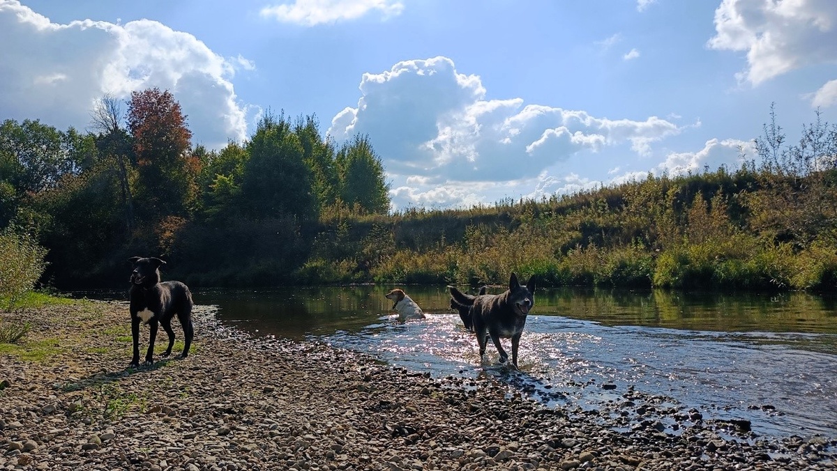 Туся по-обыкновению принимает сидячие  ванны