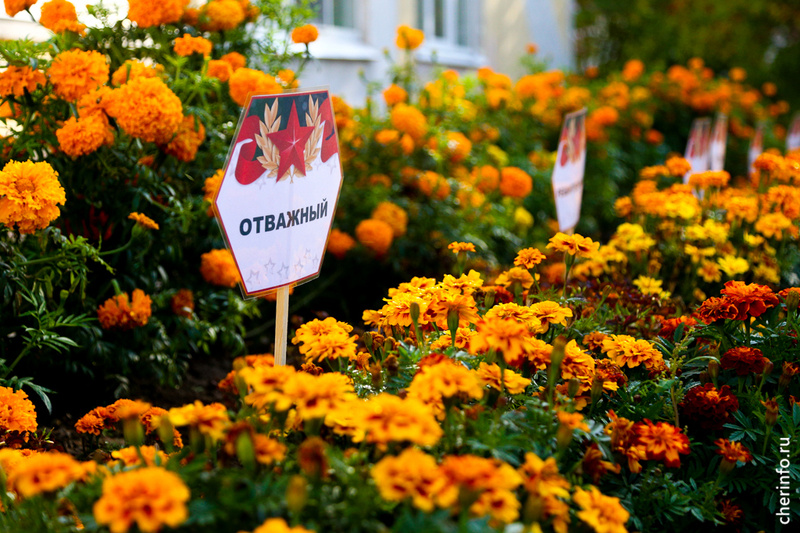    Территория для отдыха, окруженная растениями, и цветущая арка появились на Рыбинской, 55, у одного из офисов.