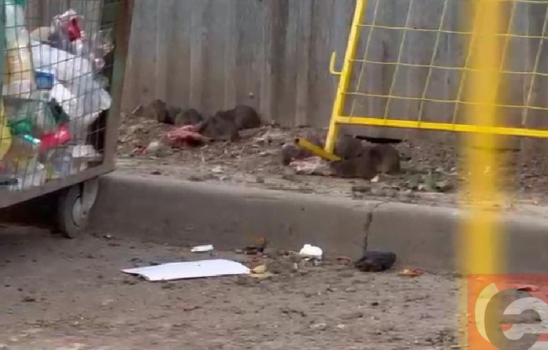    Фото: читатель Прецедента