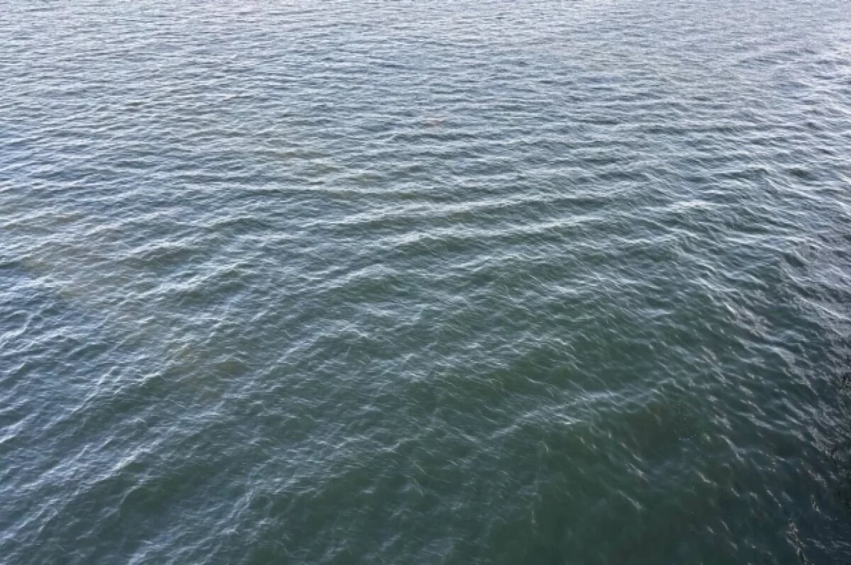    В одной из рек Тульской области вода стала «экстремально грязной»