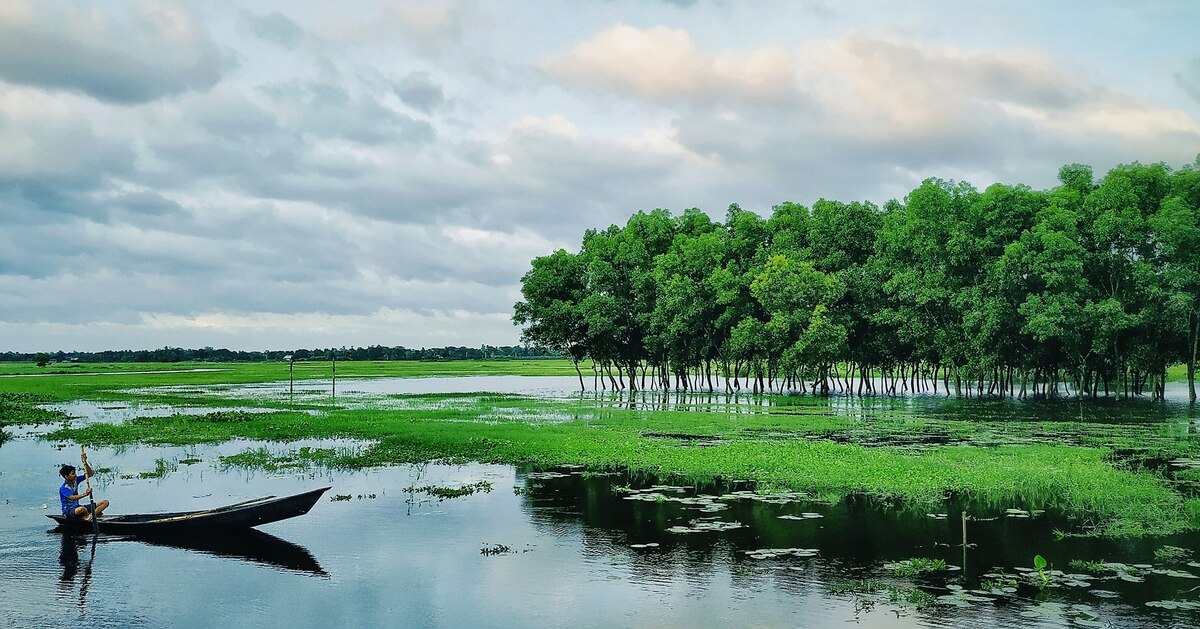Типичный Бангладеш