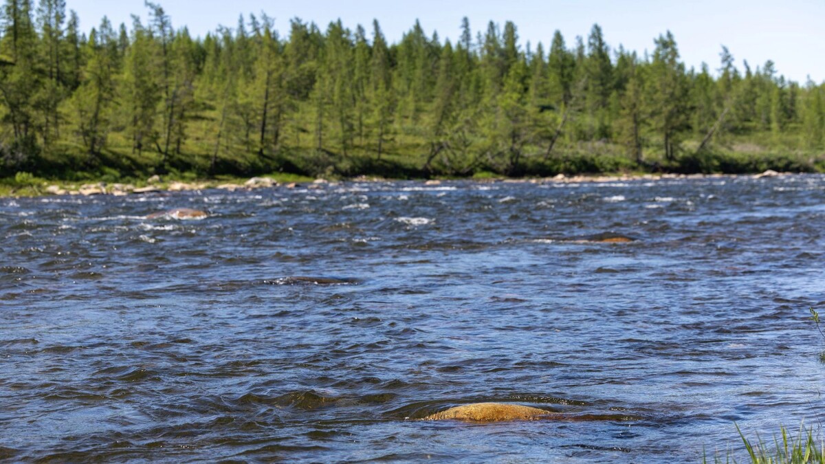    Фото: Александр Чирва / «Ямал-Медиа»