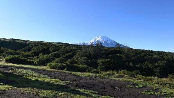    © Sputnik / Михаил Воскресенский