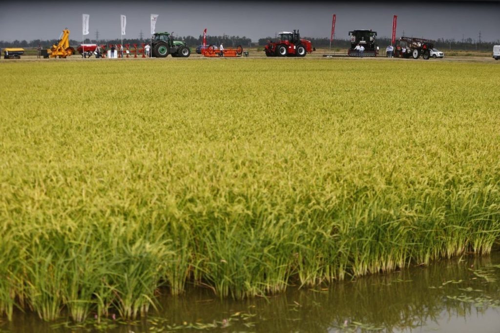    Фото: пресс-служба администрации Краснодарского края.