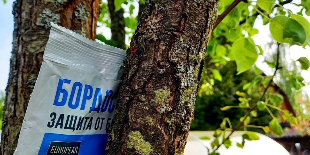 Бордоская смесь, медный и железный купорос, как разводить и применять осенью правильно