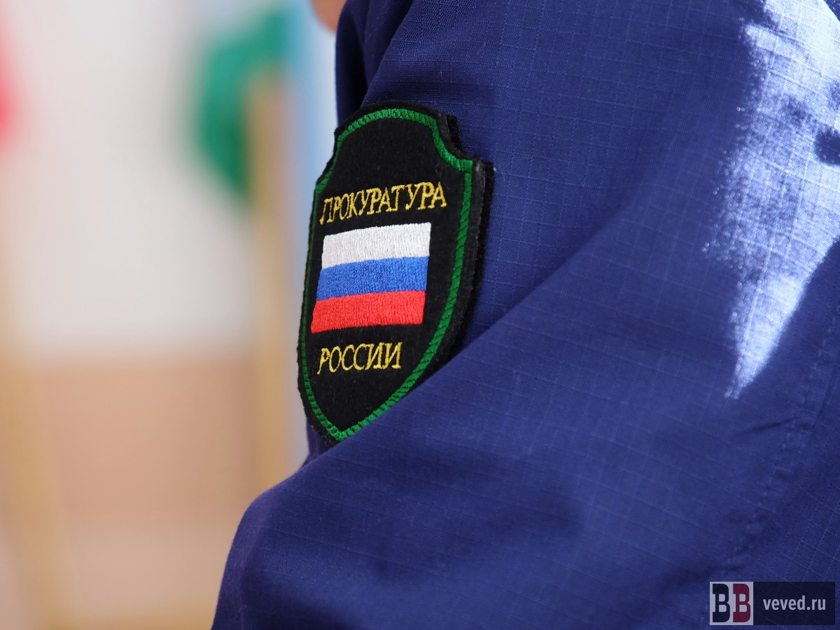     Фото: Владислав Постников / Вечерние ведомости