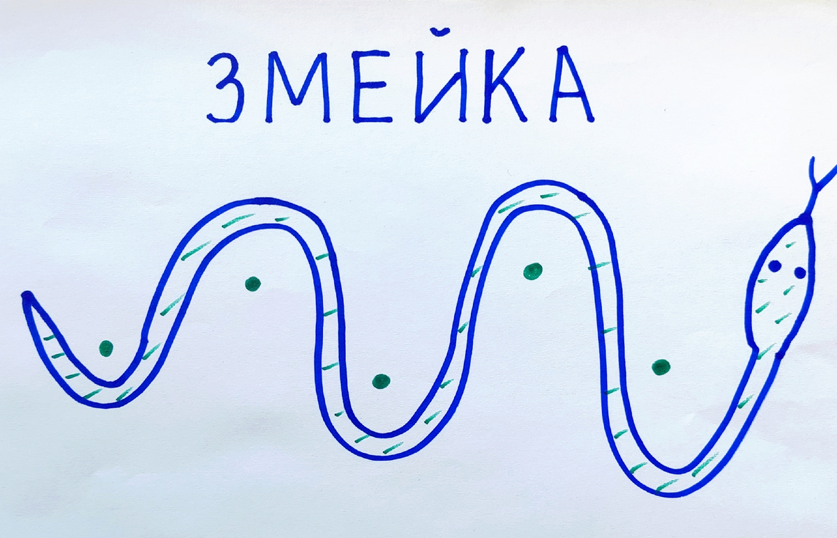Змейка похожа на кривую дорожку