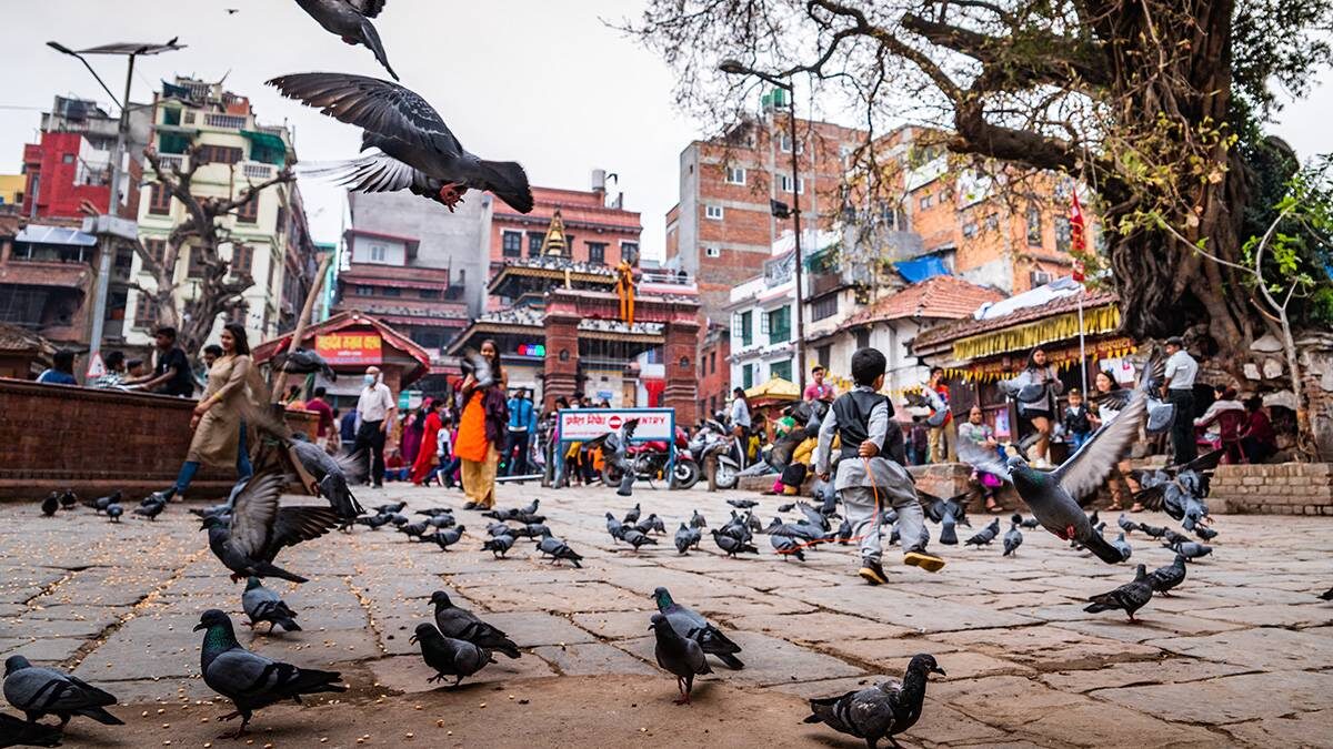    Фото: Shutterstock