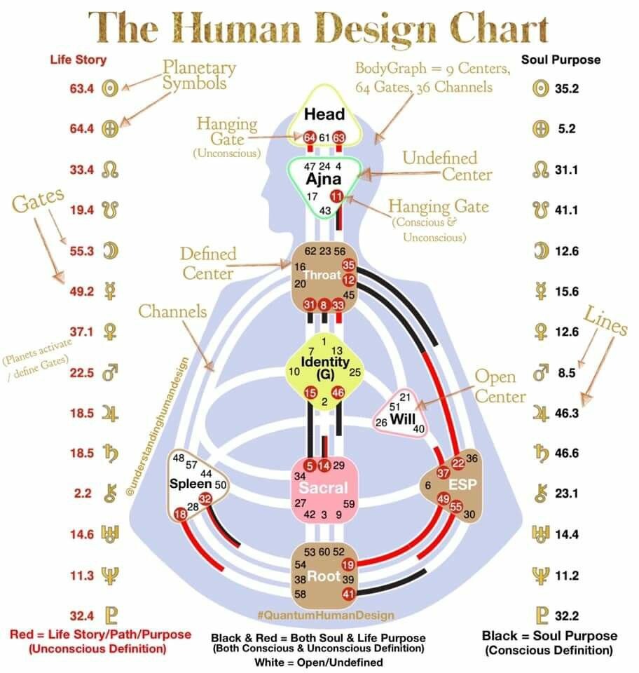 Красные и черные активации - линии на бодиграфе. С просторов пинтереста.