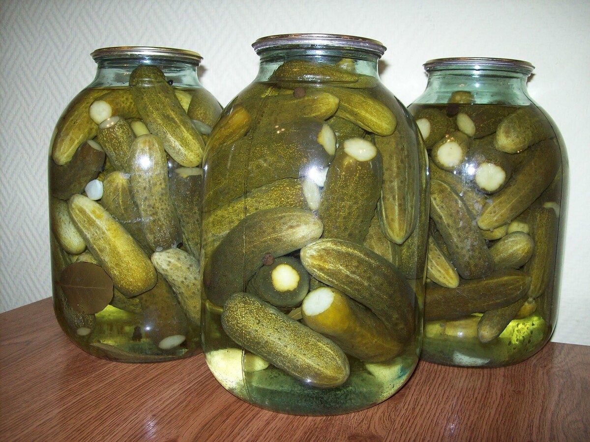 Фото взято из этого источника: https://kasheloff.ru/photos/solit-ogurtsiy-v-banku/8
