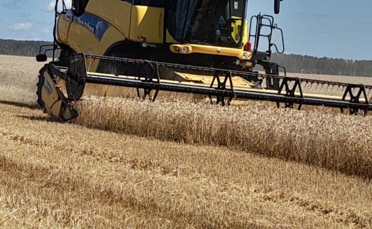    фото Курские известия