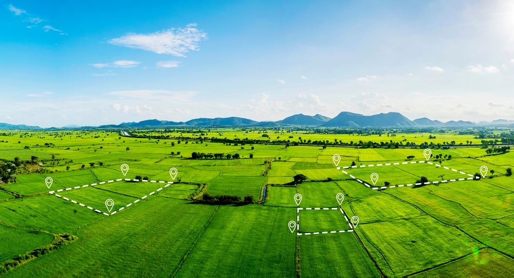 Источник фото shutterstock.com