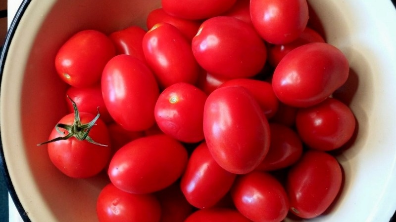 Вот такие помидоры берем для вялки