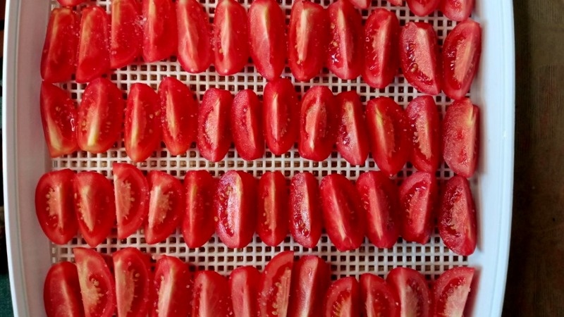 Укладываем дольки помидоров на решетку для сушилки или противень для духовки