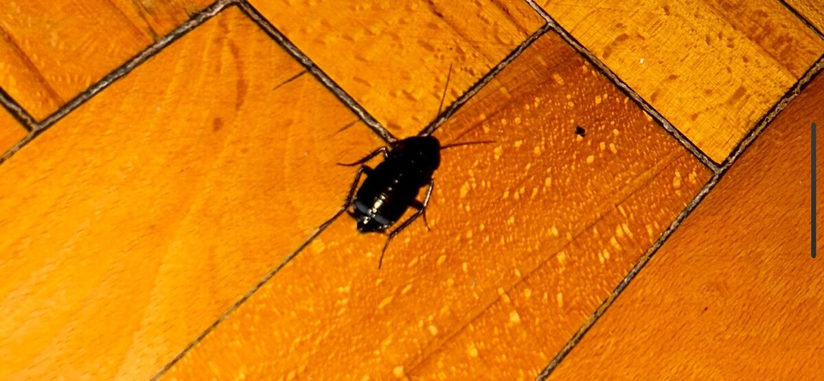 Фото: А. Славгородская.