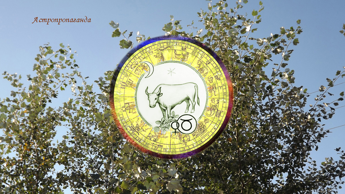 Гороскоп для Тельца с 1 по 28 сентября 2025.