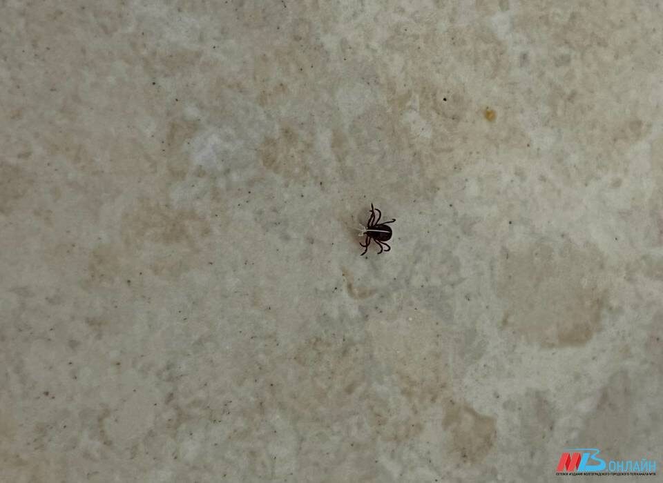    Фото: МТВ.ОНЛАЙН / архив.