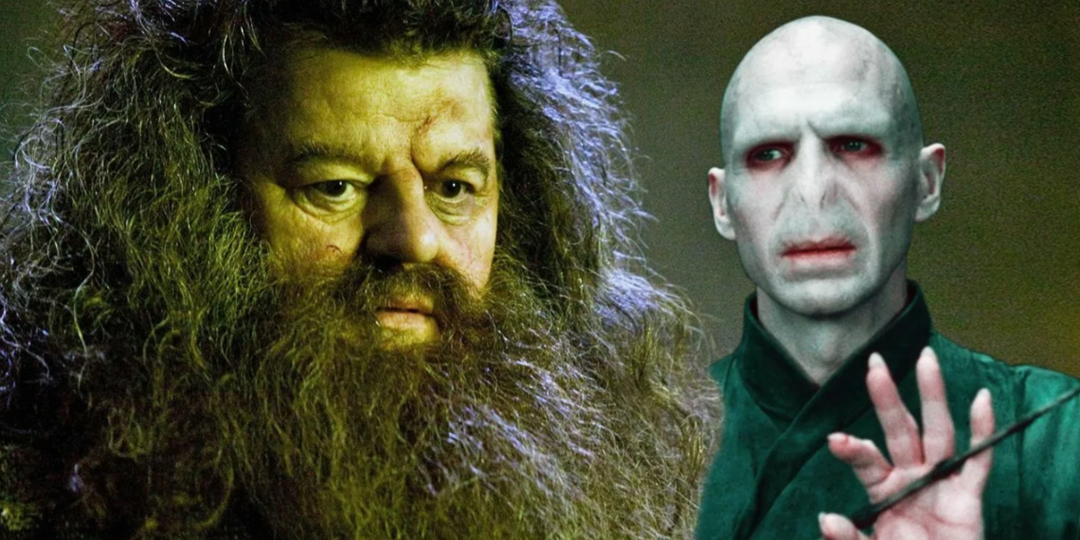 Почему Волдеморт боялся Хагрида? 5 крутых теорий о добром здоровяке из "Гарри Поттера"