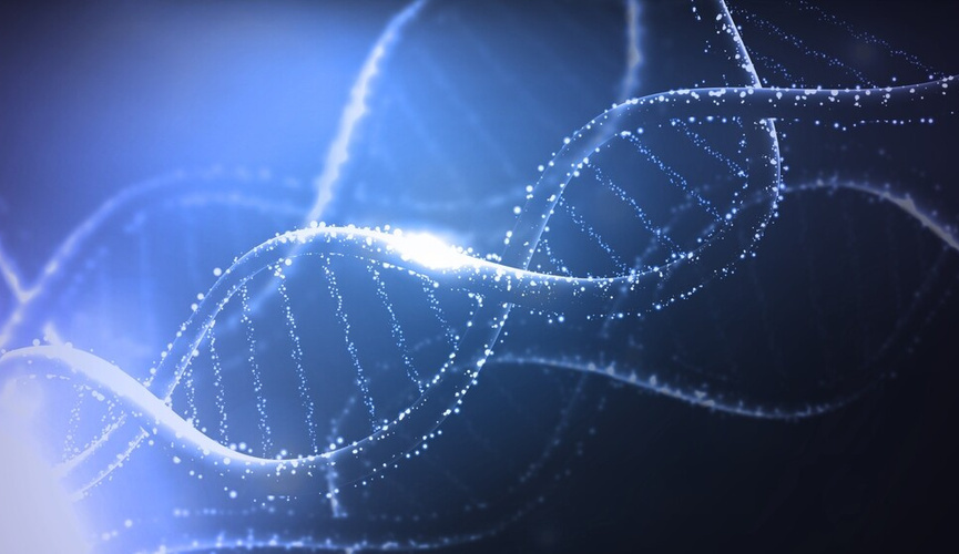 Изображение взято из открытого доступа