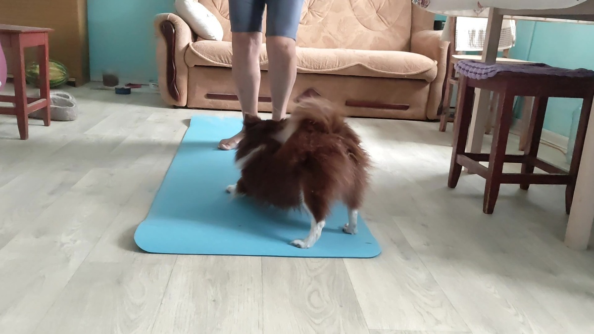 Мам, давай скорее начинай )))