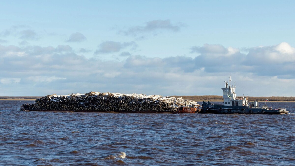    Фото: Федор Воронов/«Ямал-Медиа»
