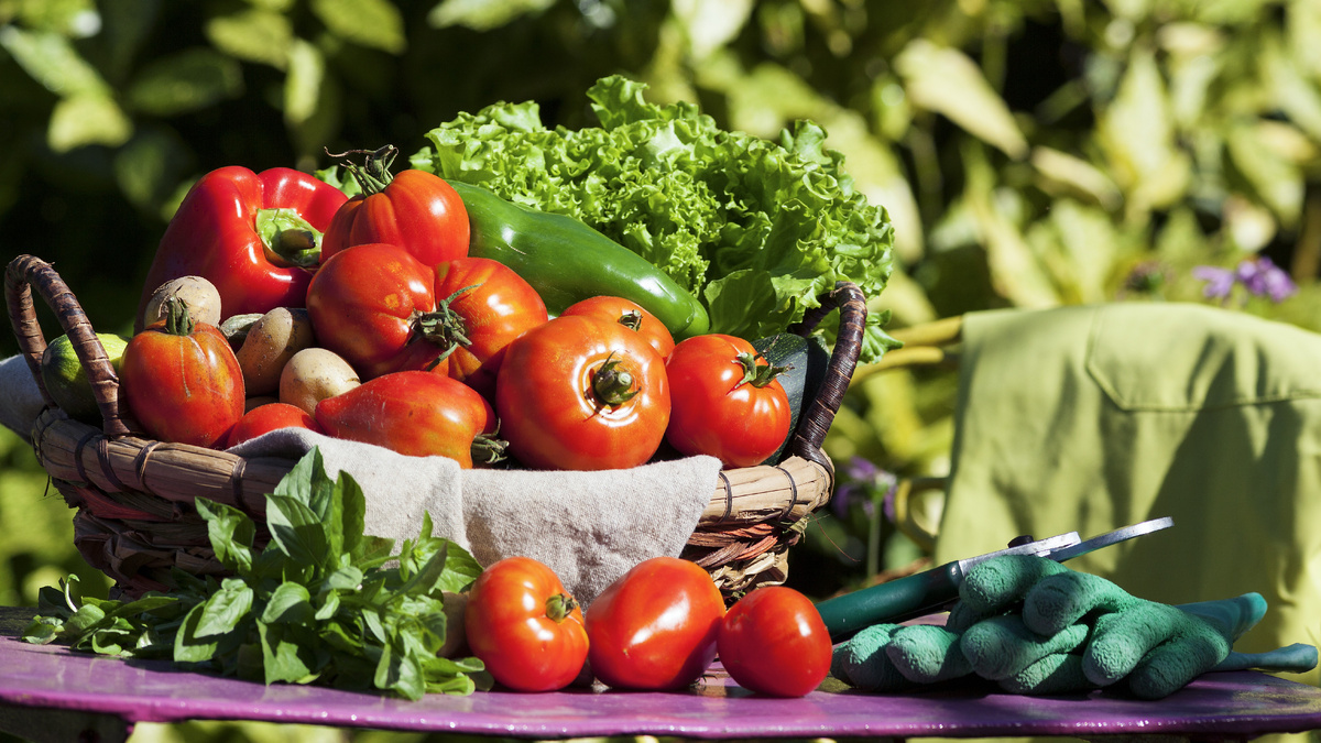 Изображение от freepik