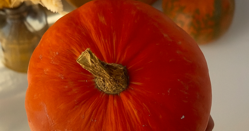 Осень на кухне: 4 простых и вкусных блюда из тыквы