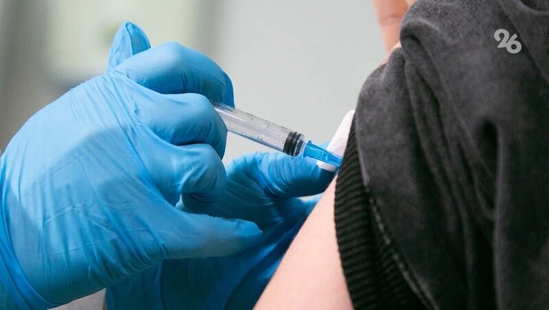      Фото: ИА «Победа26»