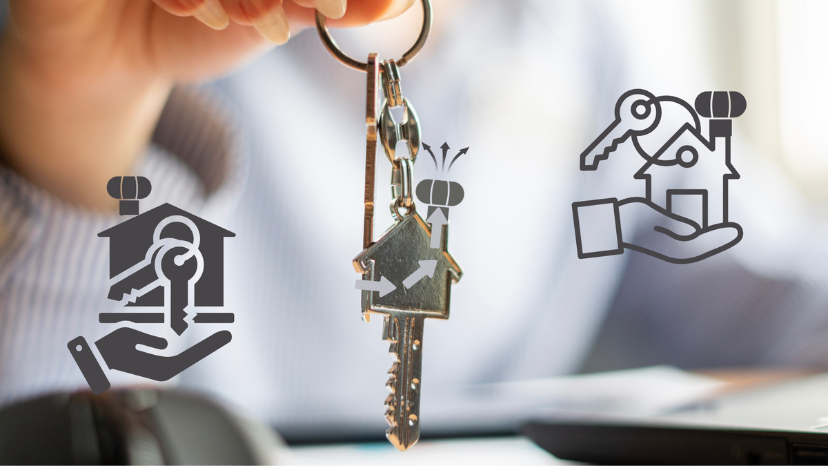 «Под ключ» — это не про «дорого», а про «умно» и «надежно»