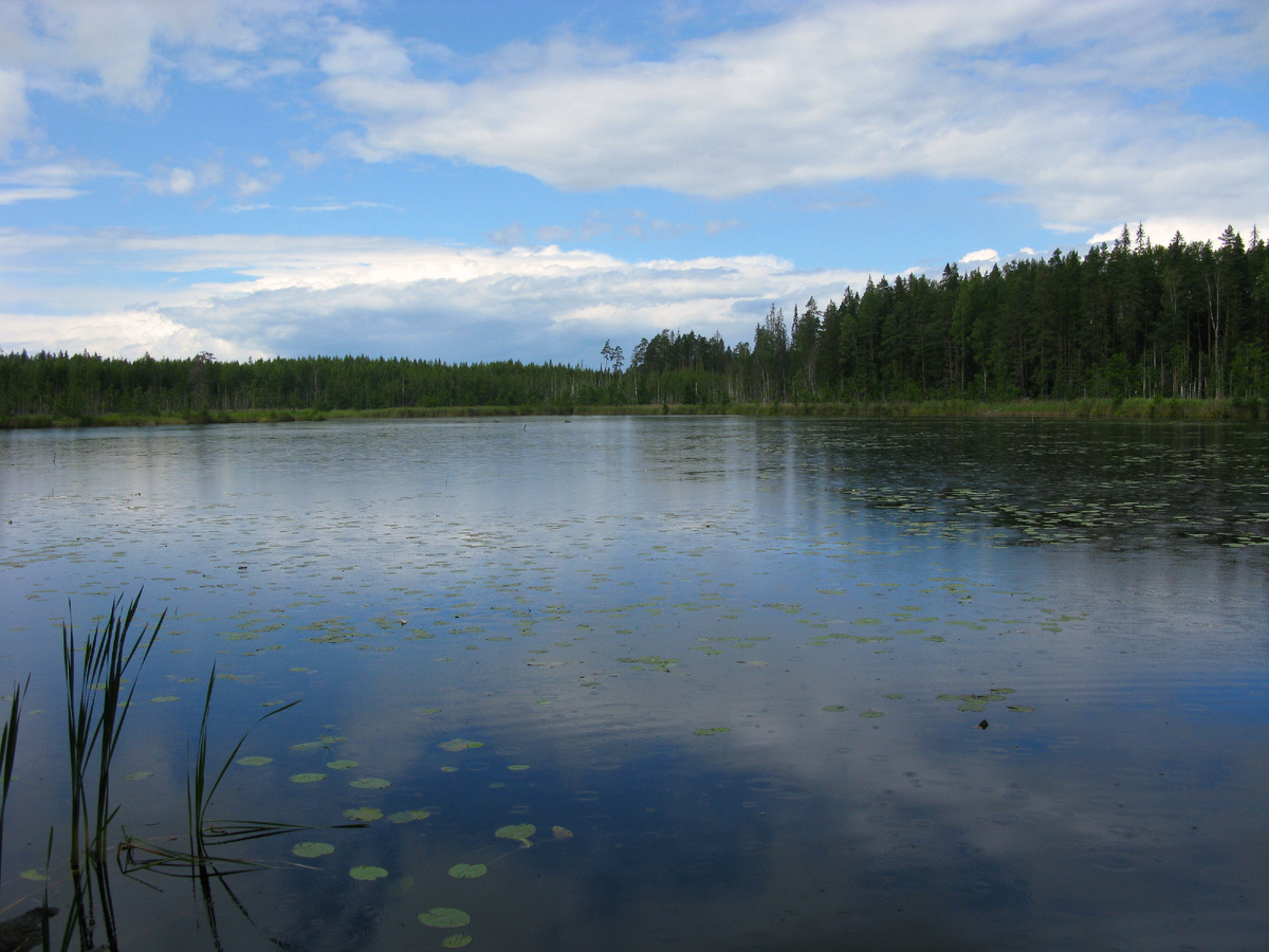 Панорама озера Дневное.