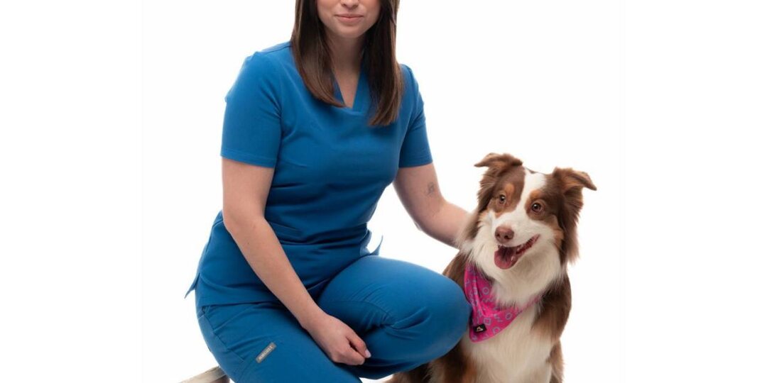 Овуляция у собак: особенности процесса.