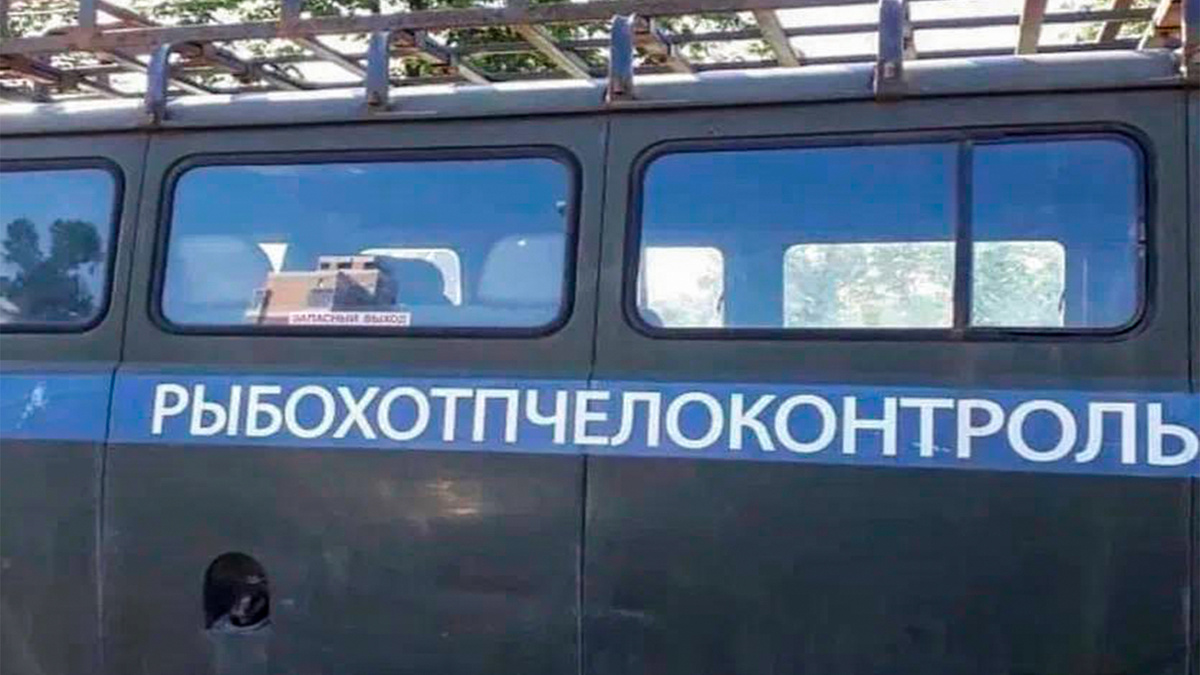 Фото с просторов интернета