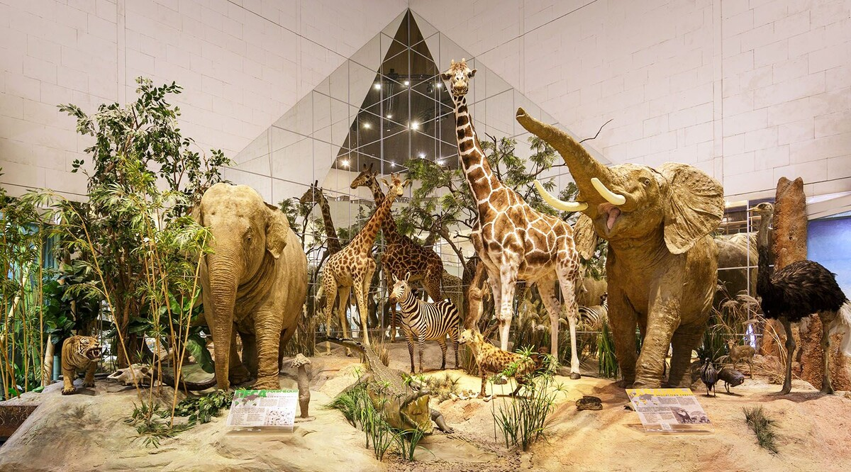 Фото из интернета