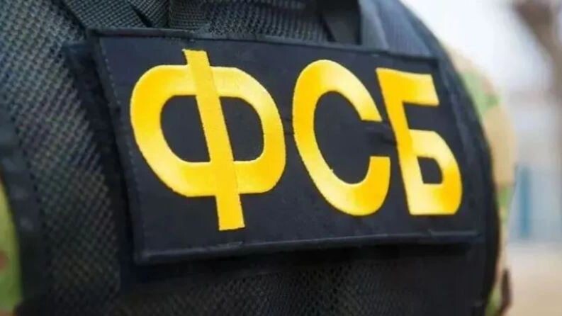    Фото: SGr/Shutterstock/Fotodom