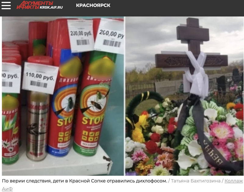    Скриншот: krsk.aif.ru