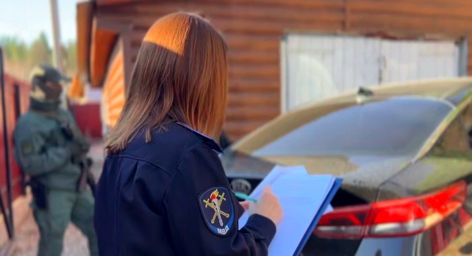 Скриншот видео МВД России