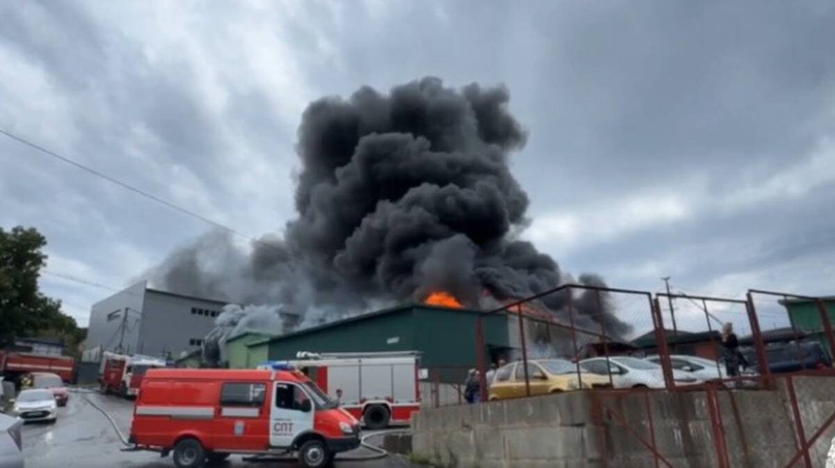    Фото: Telegram / МЧС России