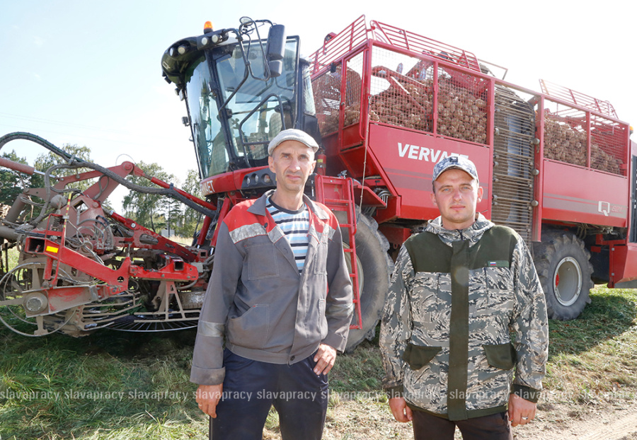     Аграрии ЗАО "ЖИЛИХОВО" приступили к уборке сахарной свеклы