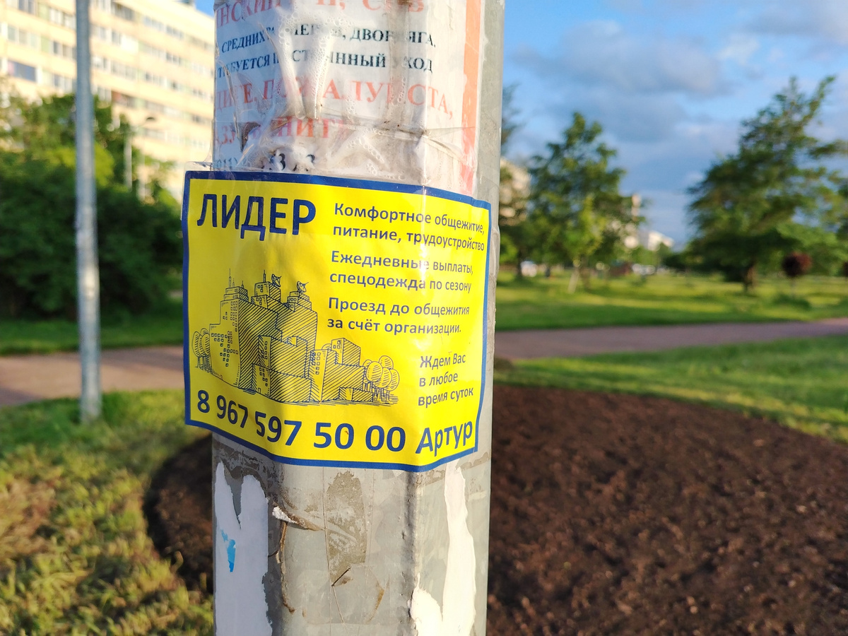 
Словосочетание «Работный Дом» у многих рисует в голове колючую 
проволоку, вышку и повара, который зовет на ужин басовой сиреной. На 
деле чаще это не хоррор, а суровый быт: дешевый труд, общага, режим 
«работа-еда-сон», а романтики ровно ноль. Исключения с криминальным 
привкусом встречаются, но это именно исключения — и да, их тоже стоит 
опасаться.