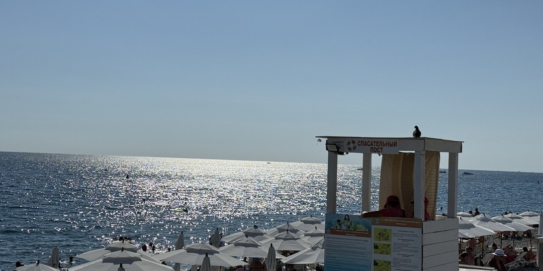 Отзыв о поездке в Адлер 2025. Сплошной хаос. Переполненные мусорные контейнеры, стаи собак, парковка - как попало!