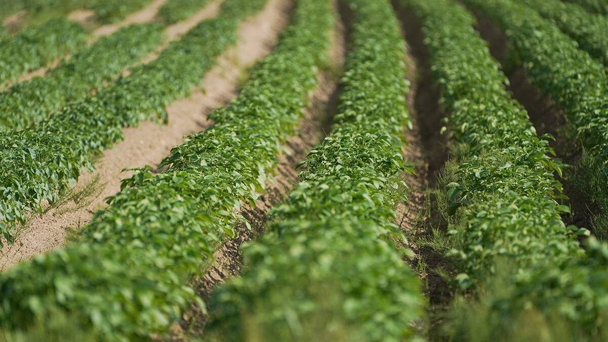    Фото: Пелагия Тихонова / АГН Москва