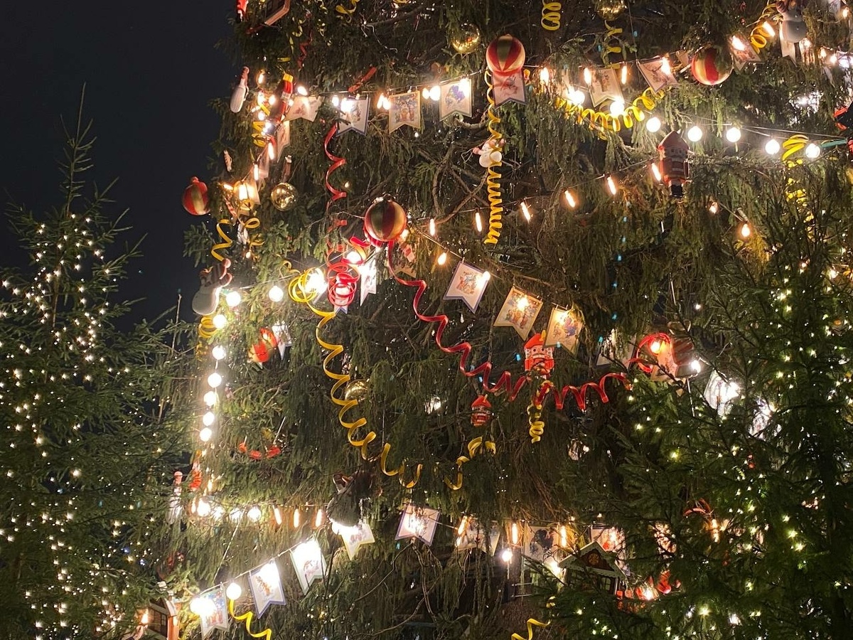 Фото: Neva.Today/Алена Васина