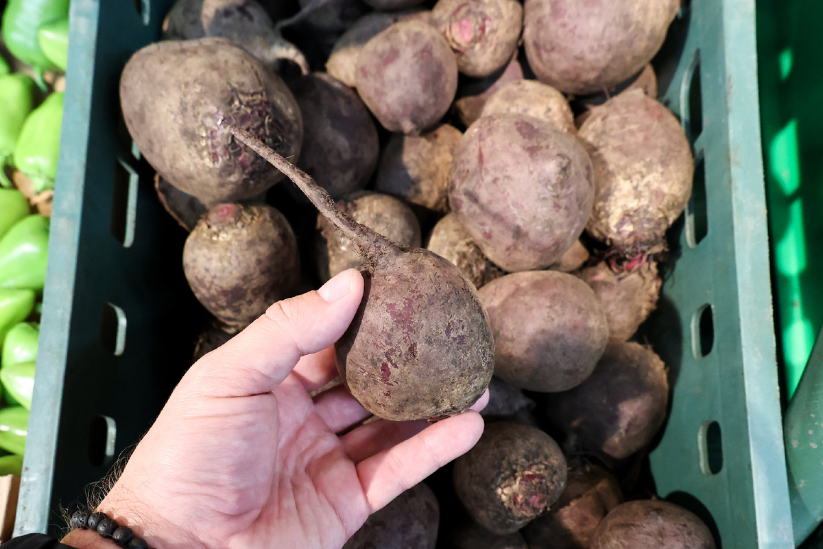 Фото: © Petrov Sergey/ news.ru/ Global Look Press