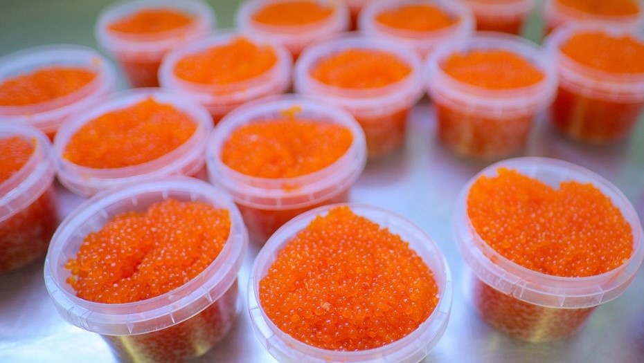    Автор фото: Беликов Валентин