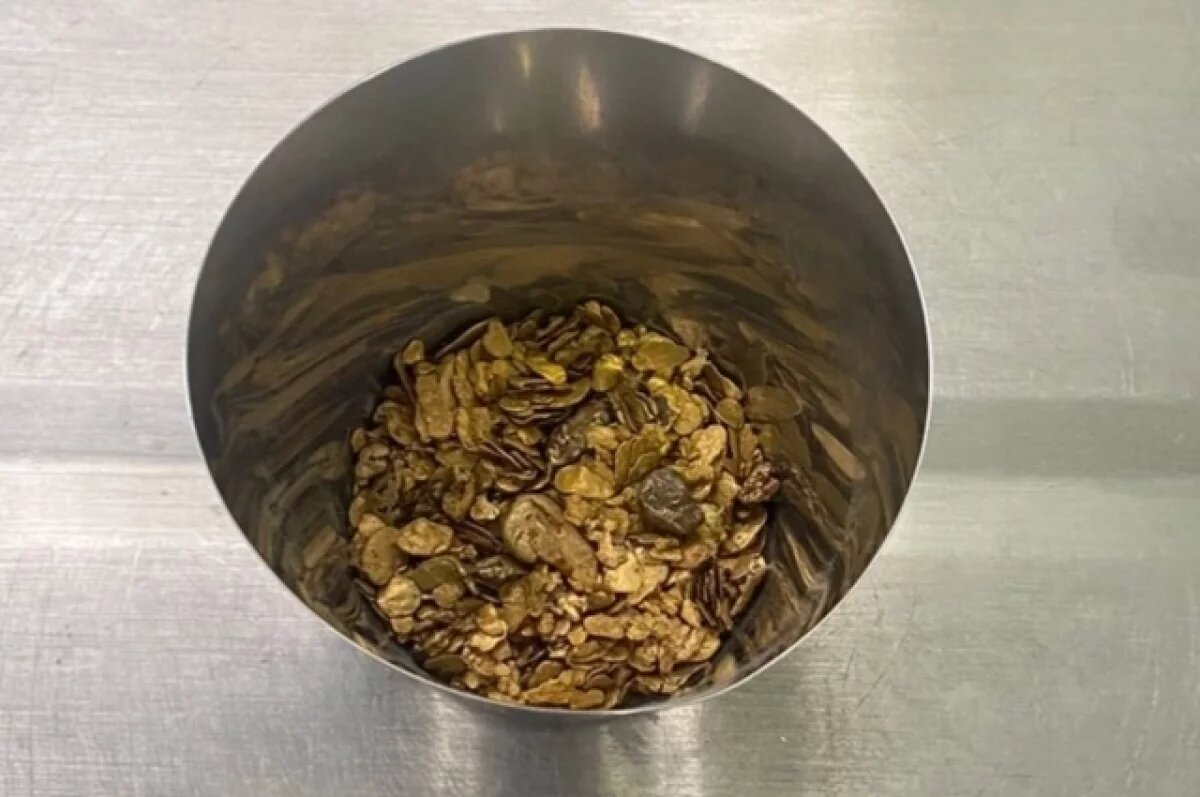    В Якутии задержан мужчина с 4 кг золота на 30 миллионов рублей