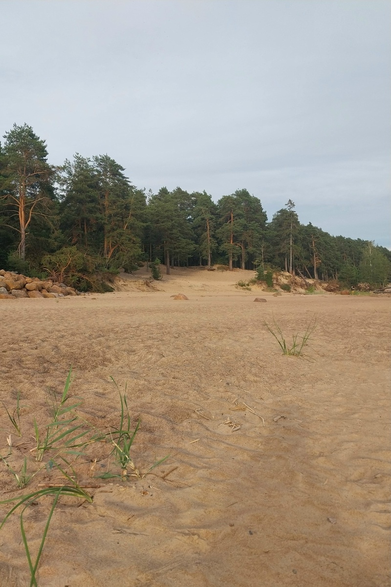 любимое Репино - есть места в нашей стране, куда я возвращаюсь вновь и вновь...