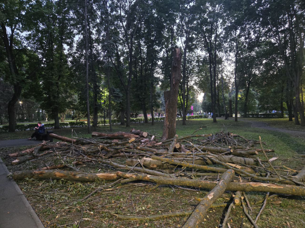    Фото: Стабильный Липецк, источник: Соцсети