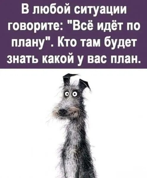 Источник: соцсети